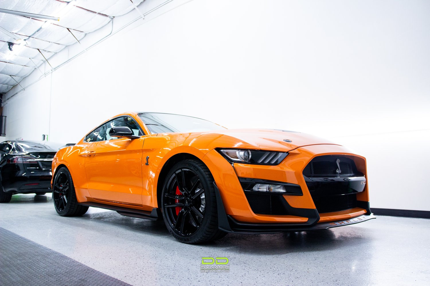 The Top 5 Frequently Asked Questions About Paint Protection Film (PPF) — Dynamic Detailing