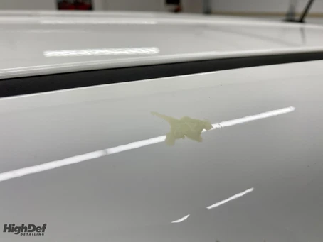 How Tree Sap Can Damage Your Vehicle